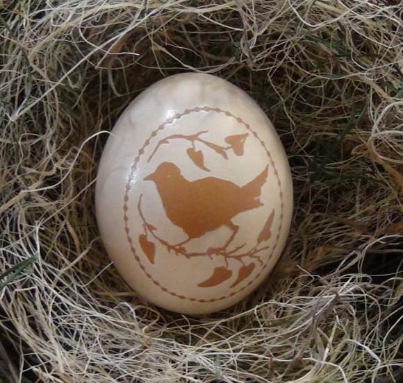 雞蛋、鳥蛋激光標刻樣品